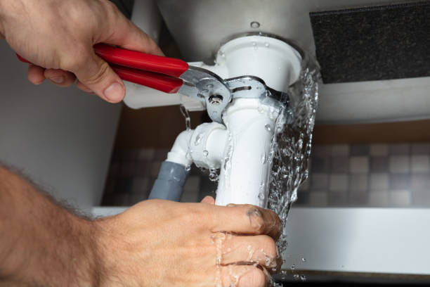 Best Flood restoration services  in Morehead City, NC