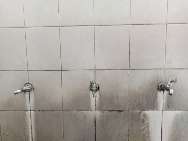 Best Emergency water damage restoration  in Morehead City, NC